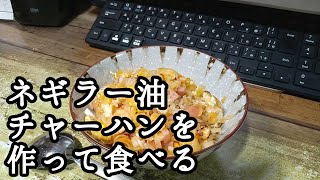 20240202金曜日【朝ごはん】ネギラー油チャーハンを作って食べる [upl. by Trina]