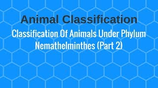 Classification Of Animals Under Phylum Nemathelminthes Part 2 [upl. by Gnoz]