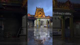 Vidyashankara Temple  Sri Sharada Peetham sringeri bangaluru mangaluru udupi [upl. by Enihpad]