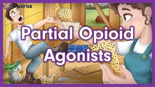 Partial Opioid Agonists Mnemonic for USMLE [upl. by Islehc]