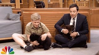 Robert Irwin and Jimmy Play with Baby Black Bears [upl. by Blinny]