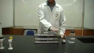 Nitroprussides test Part 2 Identification of Amino Acids Cysteine or Cystine [upl. by Bertelli]