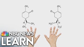 Mirror Molecule Carvone [upl. by Klina37]