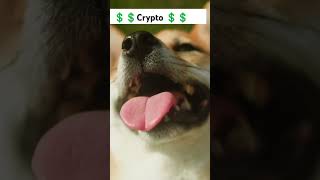 quot4 promising meme coins that might change your financial future soon cryptonews cryptoarbitrage [upl. by Ynaffat143]