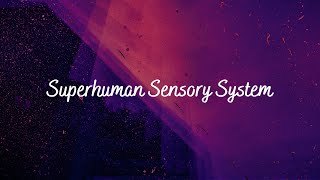 Superhuman Sensory System  Subliminal Audio [upl. by Liatris84]