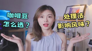 干货｜咖啡豆怎么选？你得先搞懂处理法 [upl. by Adnirim]