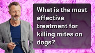 What is the most effective treatment for killing mites on dogs [upl. by Akers]