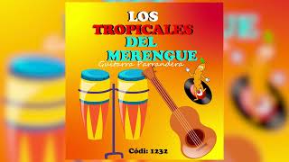 Los Tropicales Del Merengue  Linda Carmencita [upl. by Ardnaeel405]