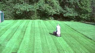 Mowing Tall Grass With Toro 36quot Walk Behind [upl. by Esiahc]