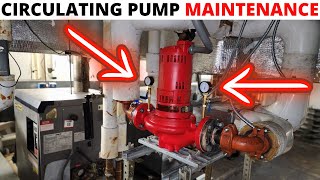 HVAC Boiler Hydronic Circulating Pump Maintenance How To Pull And Clean Strainer For Boiler Pump [upl. by Arlan]