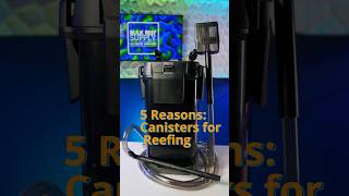 5 Reasons Canister Filters ROCK for Reef Tanks [upl. by Saville]