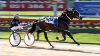 2017 Christchurch NZ Trotting Cup [upl. by Brandy]