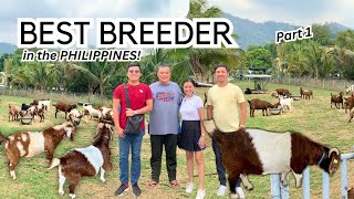 Farm Visit at ETMM Goat Farm ni Mayor Mar Ruel Sumabat  Vlog 31 [upl. by Buck]