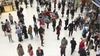 Marylebone Community Choir  Whitney Flashmob  Birthday Tribute  2012 [upl. by Ihtak]