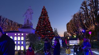 Pau le village de Noël attire petits et grands [upl. by Largent]