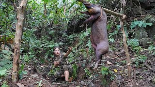 200 days of survival in the wild setting traps for wild boars catching stream fishalone survival [upl. by Issi737]