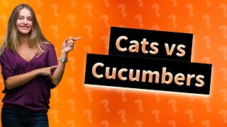 Why is a cat afraid of cucumbers [upl. by Nisotawulo]