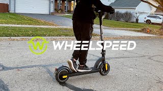 Wheelspeed 350w ESCOOTER The scooter on a budget [upl. by Kristin188]