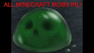 All Minecraft Mobs in Real Life [upl. by Doowle]