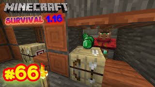 Esmeraldas infinitas y muy baratas 1 palo por 1 esmeralda  Survival 116 ep 66 [upl. by Skillern]