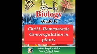 Biology 10th Ch11 Homeostasis Osmotic adjustmentOsmoregulation in plants [upl. by Ahsilav]