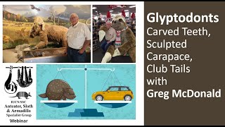 Glyptodonts Carved Teeth Sculpted Carapace amp Club Tails with Greg McDonald [upl. by Georgianne]