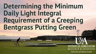 Determining the Minimum Daily Light Integral Requirement of a Creeping Bentgrass Putting Green [upl. by Orit]