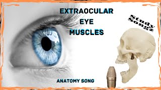 Extraocular Eye Muscles  Study Songz  4 Rectus and the 2 Obliques [upl. by Kachine]