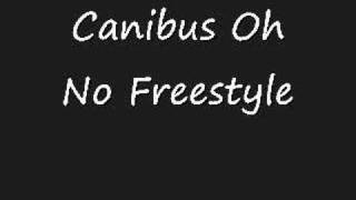 Canibus Oh No Freestyle [upl. by Lombardy]