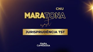 MARAtona SST  Jurisprudência TST [upl. by Beulah]