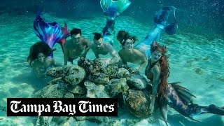 Watch Florida’s professional mermaids swim in Dunnellon’s springs [upl. by Suzan87]