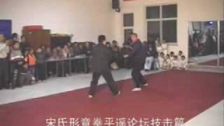 Xing Yi Quan Freestyle Combat [upl. by Uhp]