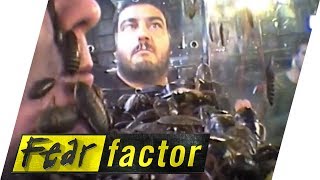 Cockroach Helmet feat Keith Chegwin  Fear Factor Extra [upl. by Geoff]