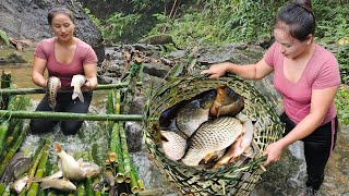 How the girl made a fish trap during the flood season caught many huge carp [upl. by Eupheemia]