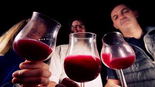 Preview WineMasters France Beaujolais S5E2 [upl. by Pepito715]