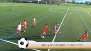 Trainerfortbildung FC RapperswilJona November 2016 [upl. by Anileda540]