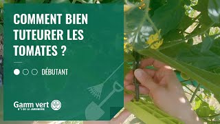 TUTO Comment bien tuteurer les tomates  Jardinerie Gamm vert [upl. by Ahsiekal]