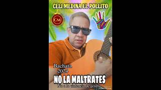 CELI MEDINA EL POLLITO NO LA MALTRATES Bachata 2024 [upl. by Relda]