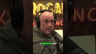 Breaking Down Your Walls To Discover True Compassion jrefans joerogan jreclips [upl. by Pelagias]