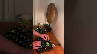 One Synth amp One Sampler  Moog and Elektron [upl. by Namajneb]