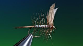 Fly Tying the Beaverkill Catskill mayfly dry fly with Barry Ord Clarke [upl. by Essirehc]