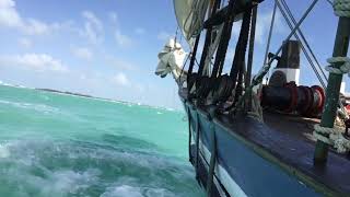 Schooner Appledore II Key West [upl. by Aissert]