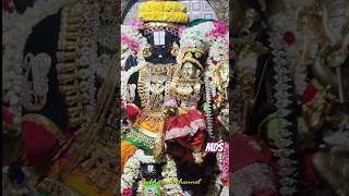 During Navaratri Days in our Selliammans Avatar navratri song subscribe [upl. by Orvas394]