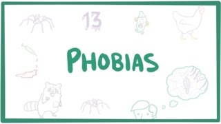 Phobias  specific phobias agoraphobia amp social phobia [upl. by Ahders]