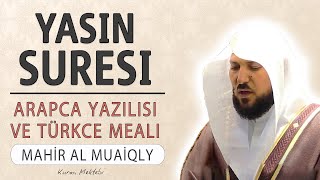 Yasin suresi anlamı dinle Mahir al Muaiqly Yasin suresi arapça yazılışı okunuşu ve meali [upl. by Akilat]