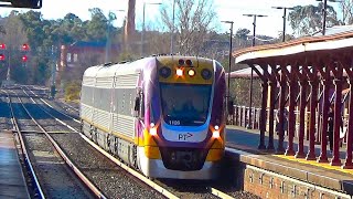 VLine VLocity passenger train arrives at Castlemaine Railway Station on 25 June 2024 in Victoria [upl. by Myers391]