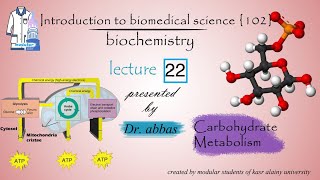 Biochemistry  Dr Abbas  Module 102  Lec 22 Carbohydrate metabolism [upl. by Ymij]