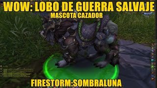 Wow Lobo de Guerra Salvaje Mascota Cazador quotSombralunaquot [upl. by Harmonia383]