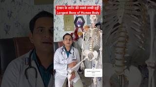 Longest Bone of Human Body  इन्सान के शरीर की सबसे लम्बी हड्डी viral [upl. by Acherman]