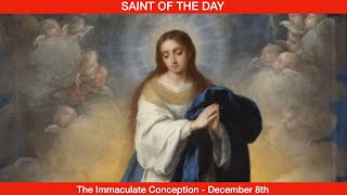 The Immaculate Conception of Our Lady  December 8th [upl. by Nena]